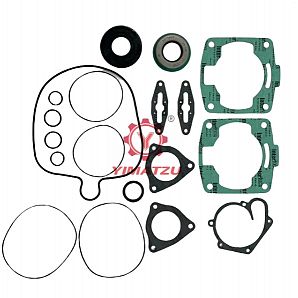 YIMATZU Complete Gasket Kit With Oil Seals for Snow POLARIS 800 CLASSIC 2000-2005 711252